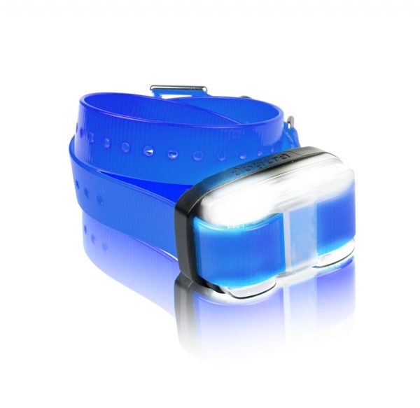 Dogtra Edge Extra Receiver Blue