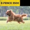 Dogtra Model E-Fence 3500 Dog