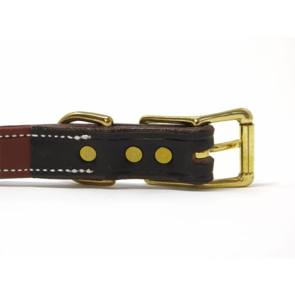 K-9 Komfort 1 Inch Dark Brown Latigo with Rust Cow Hide Premium Deluxe Leather D Ring Collar