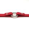 K-9 Komfort 3/4 Inch TufFlex Red Center Ring Collar
