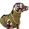 SnakeArmor Sage Dog Neck Protection
