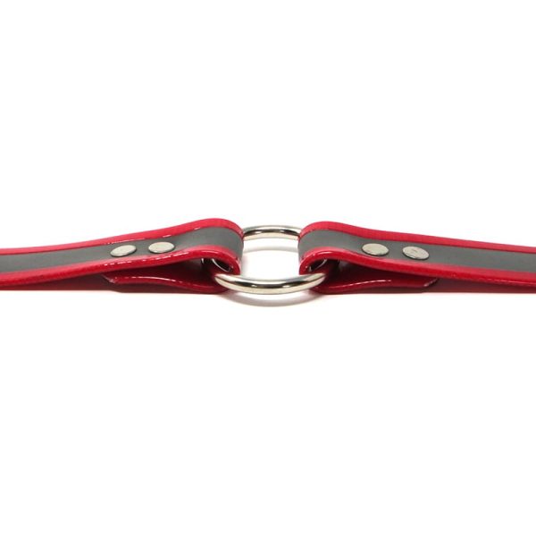 K-9 Komfort 1 Inch Reflective Red Center Ring Collar