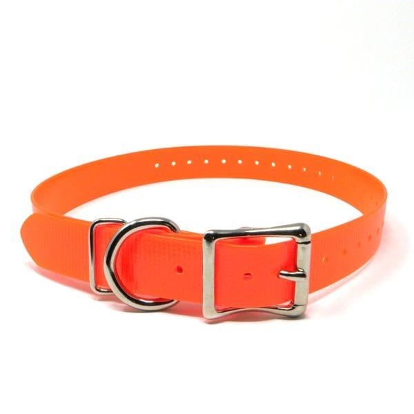 1" Universal Replacement Strap, Roller Double Buckle, D Loop