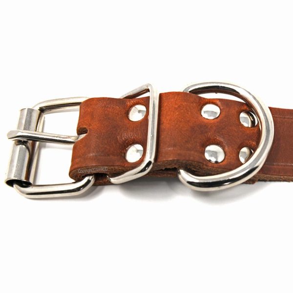 1 1/4 Inch Leather Collar