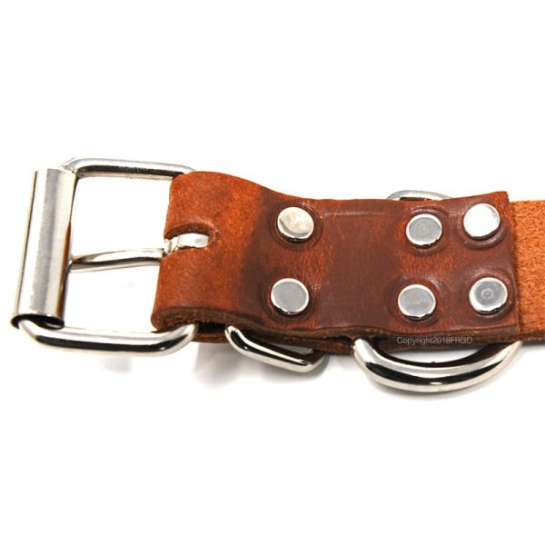 1 1/4 Inch Leather Collar