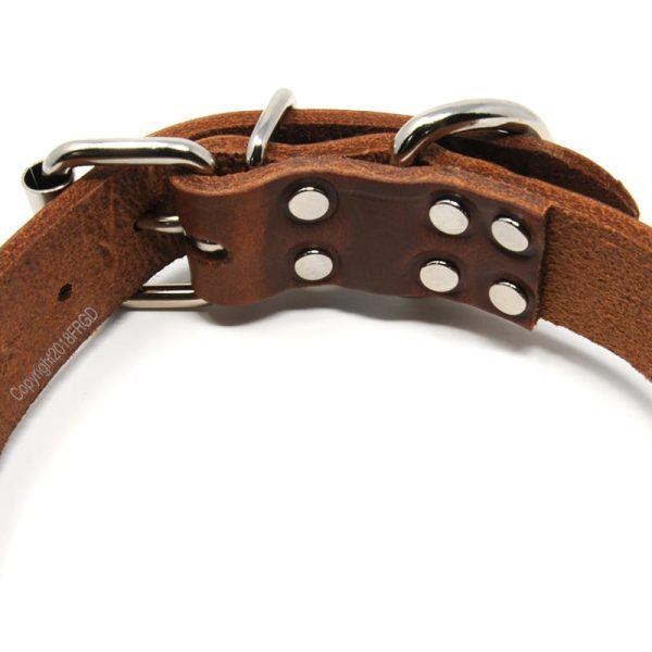 1 1/4 Inch Leather Collar