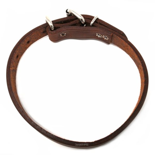 3/4 Inch Leather D-End Collar