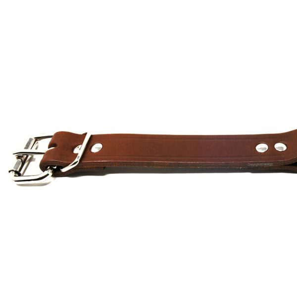 1 Inch Leather Center Ring Collar