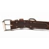 1 1/4 Inch Deluxe Leather Collar