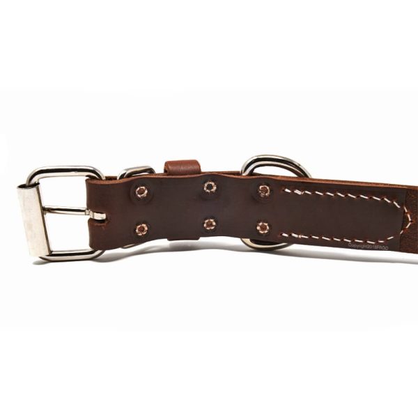 1 1/4 Inch Deluxe Leather Collar