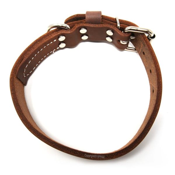 1 Inch Deluxe Leather Collar