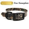 1 Inch Realtree Max 5 Camo Collar