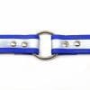 1 Inch Beta Reflective Collar RIC Blue