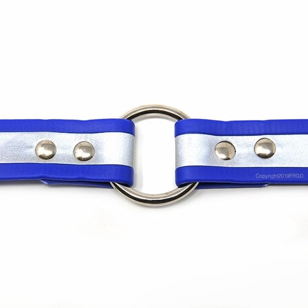 1 Inch Beta Reflective Collar RIC Blue