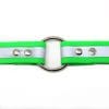 1 Inch Beta Reflective Collar RIC Green