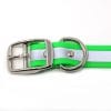 1 Inch Beta Reflective Collar RIC Green