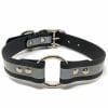 1 Inch Beta Reflective Collar RIC Black