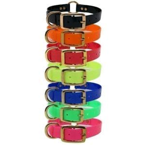 1 Inch Day Glow Collar Brass