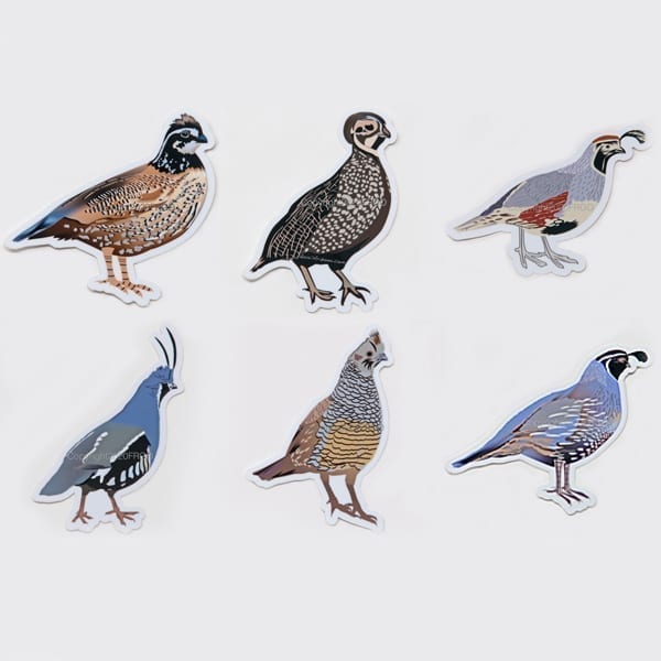 Quail Stickers