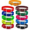 11 Pack Day Glow Puppy Collar