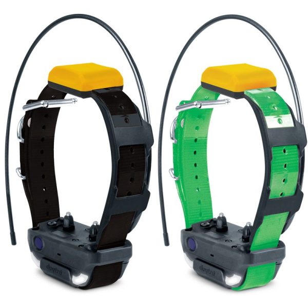 Dogtra Pathinder 2 Collar