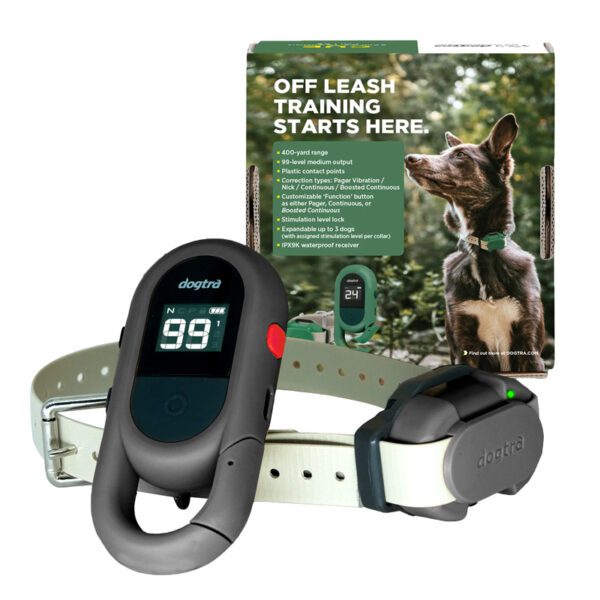 Dogtra CUE Gen 2 Training Collar