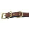1 Inch Chestnut Premium Leather Center Ring Collar