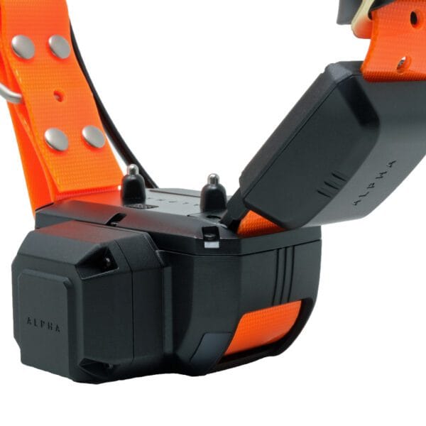 Garmin Alpha TT 25 Mini with Tracking Beeper