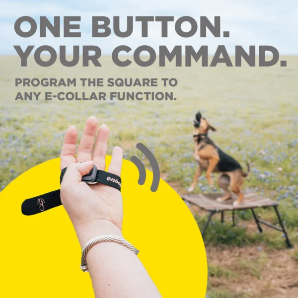 Dogtra Handsfree Square