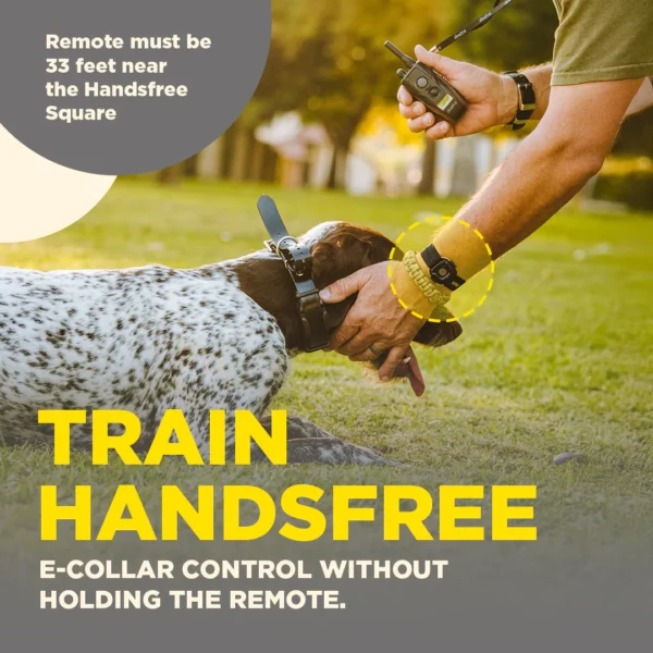 Dogtra Handsfree Square