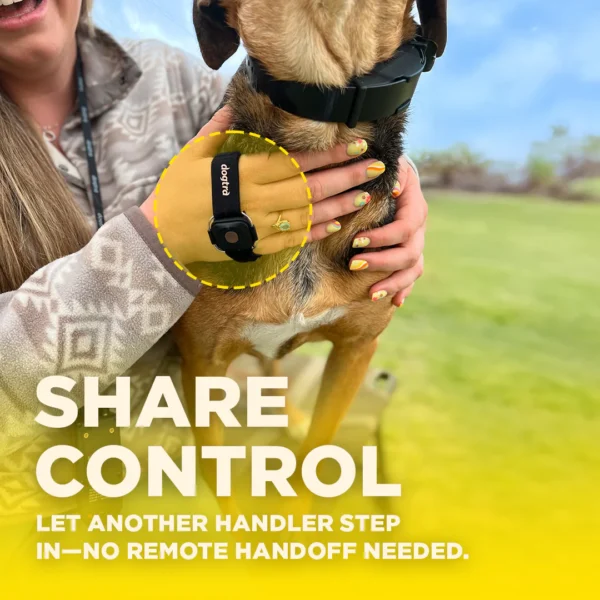 Dogtra Handsfree Square