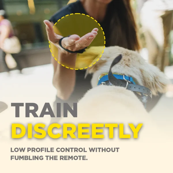 Dogtra Handsfree Square