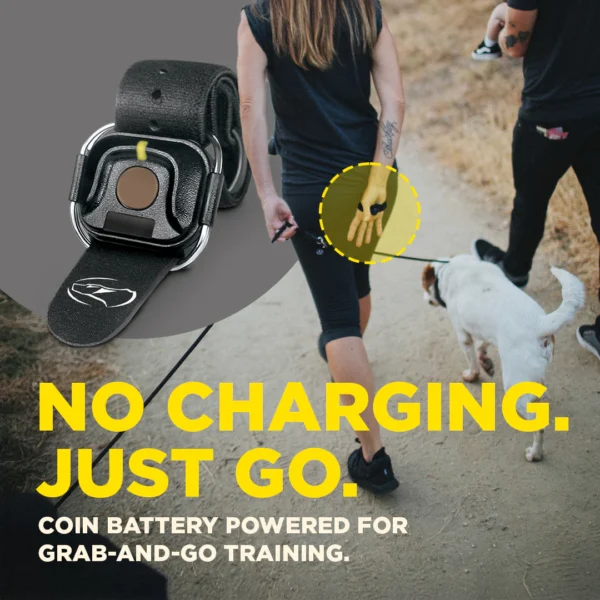 Dogtra Handsfree Square