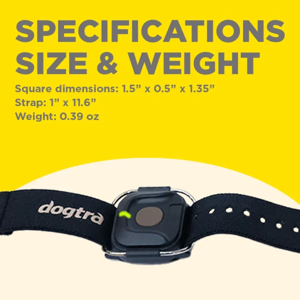 Dogtra Handsfree Square