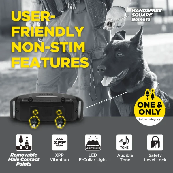 Dogtra 1900X Black Edition
