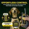 Dogtra Arc-X