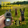 Dogtra Arc-X