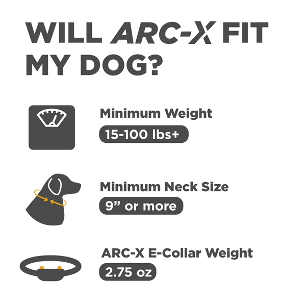 Dogtra Arc-X