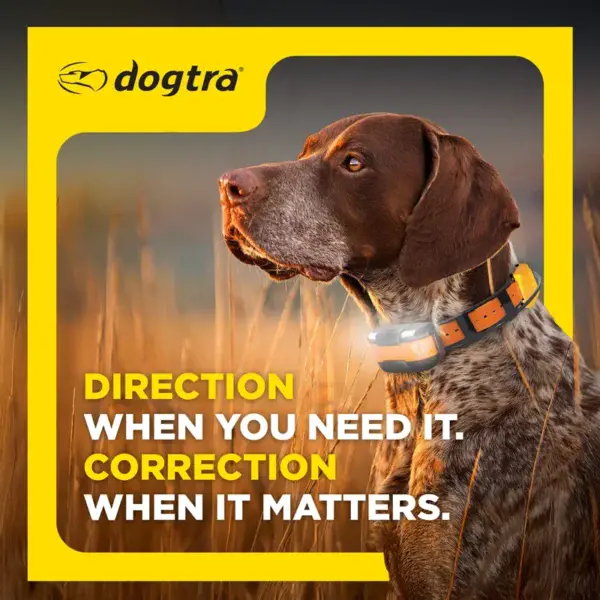 Dogtra Compass Handheld GPS Connector