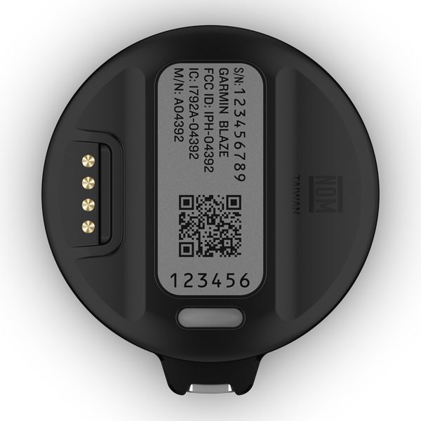 Garmin Blaze Equine Wellness System