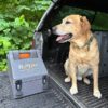 Ruff Land Kennels Chow Box