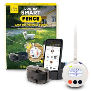 Dogtra Smart Fence