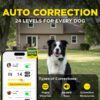 Dogtra Smart Fence